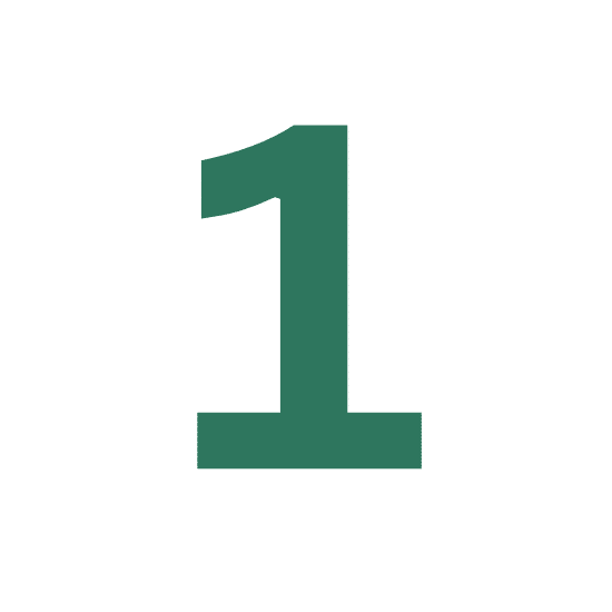 1 (27)